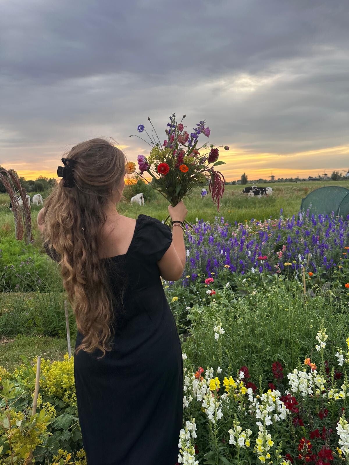 Seizoensboeket Mooi Gemaakt