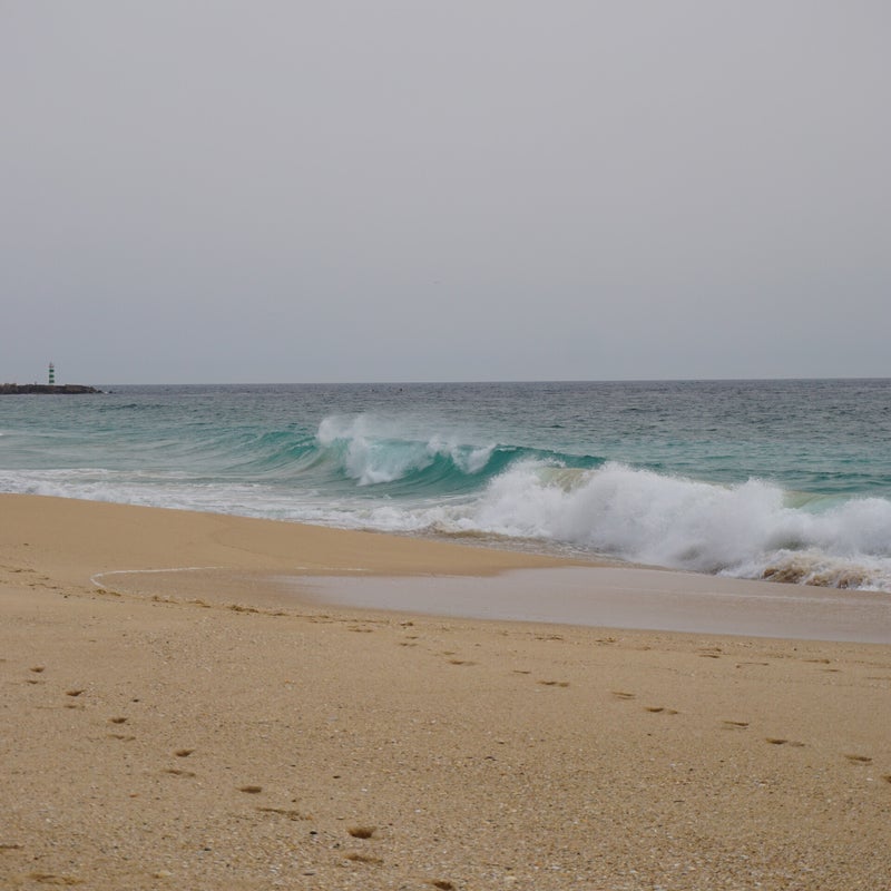 dsc03122.jpg