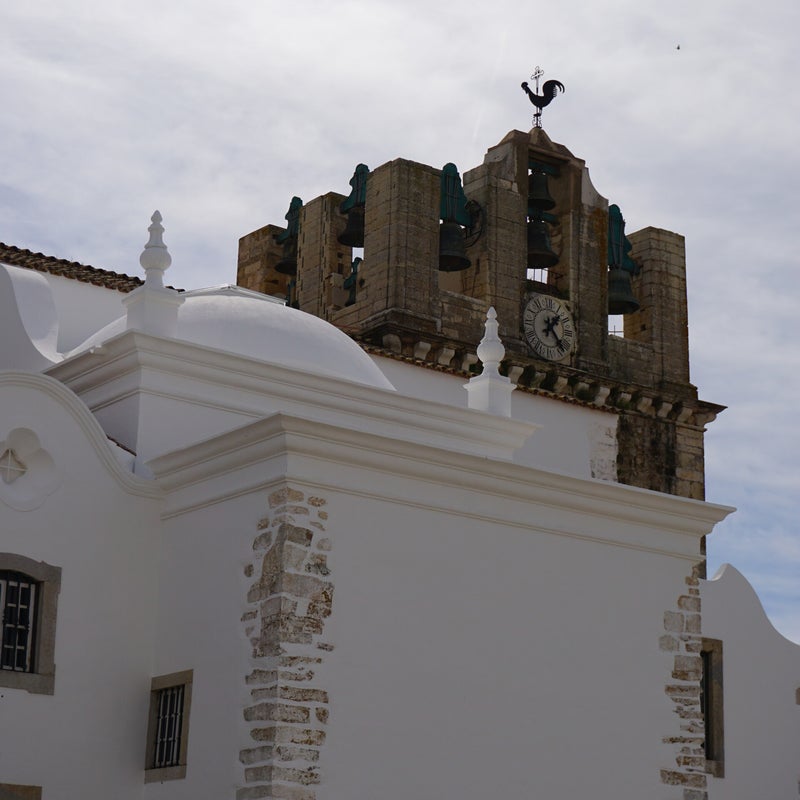 dsc02982.jpg