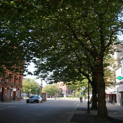 dsc02754jpg-1.jpg