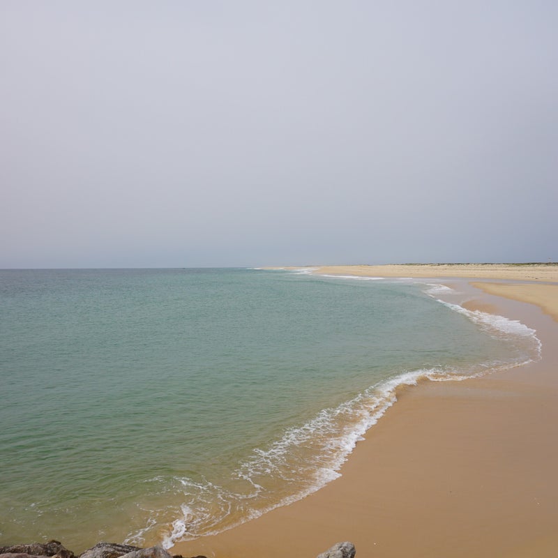 dsc03059.jpg