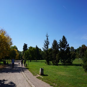 dsc00094jpg.jpg