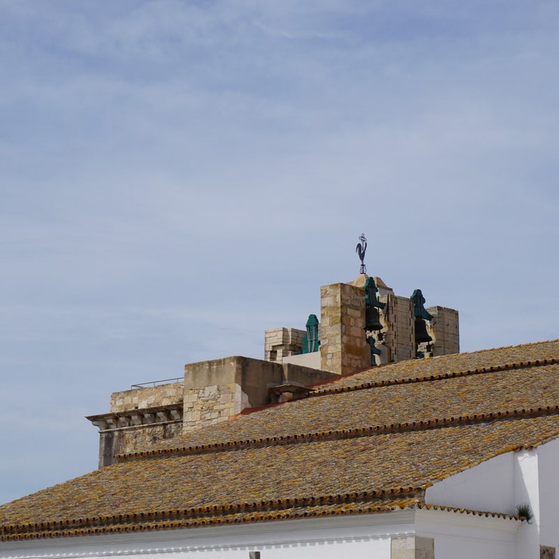 dsc02973.jpg
