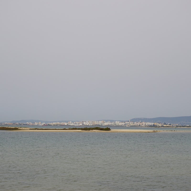dsc03082.jpg