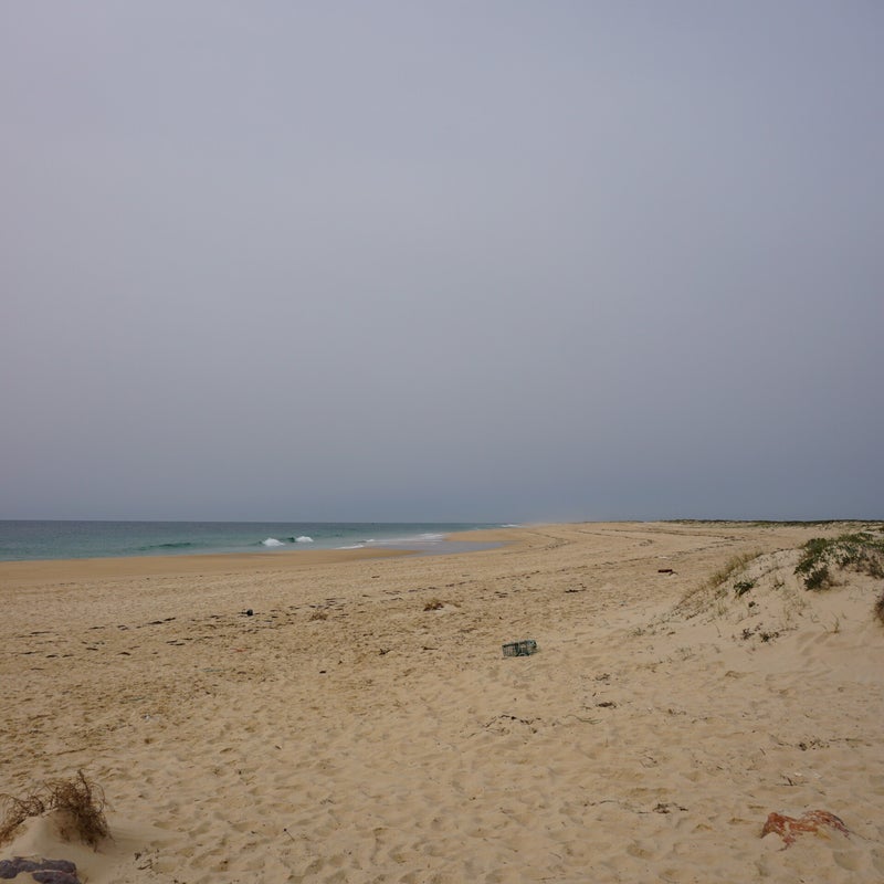dsc03056.jpg