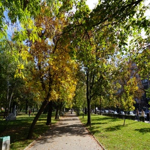 dsc00064jpg.jpg