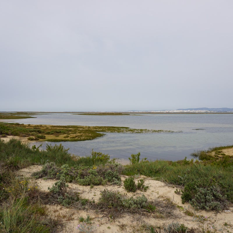 dsc03092.jpg