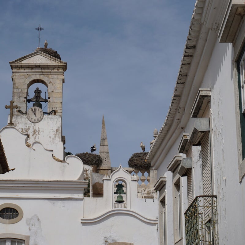 dsc02986-1.jpg