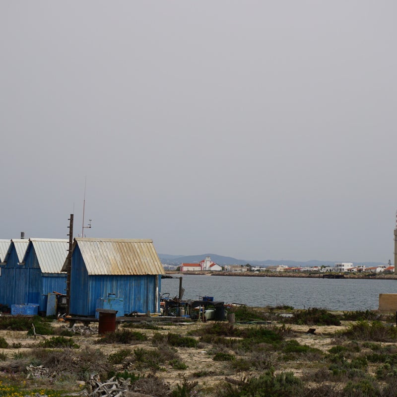dsc03073.jpg