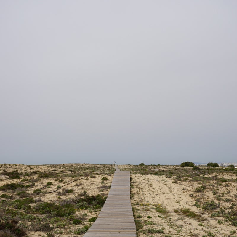 dsc03071.jpg