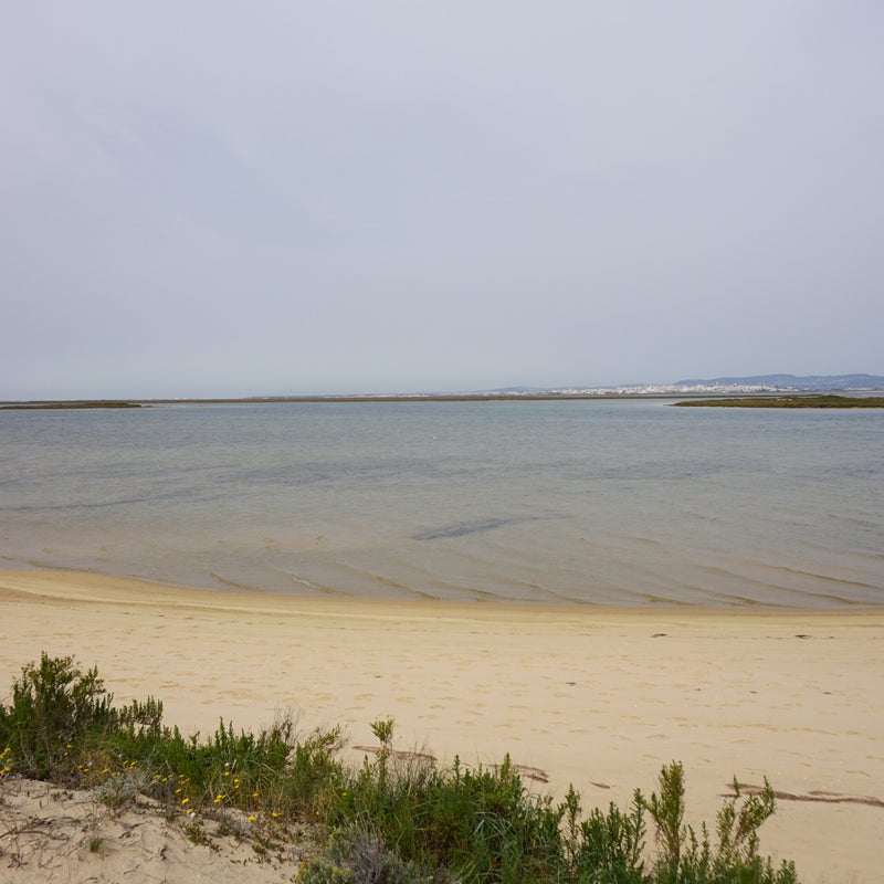 dsc03090.jpg