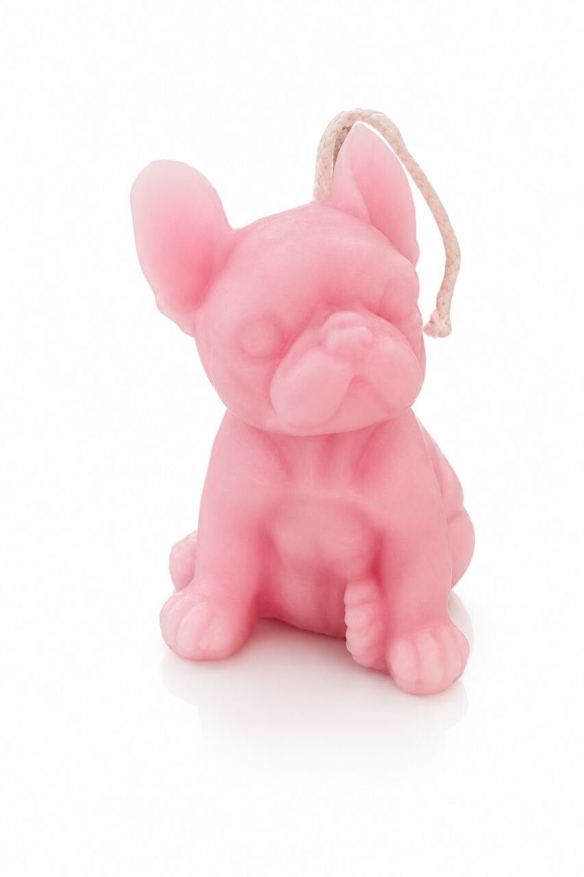 Englisch Bulldog