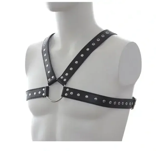 Harnais studs chest