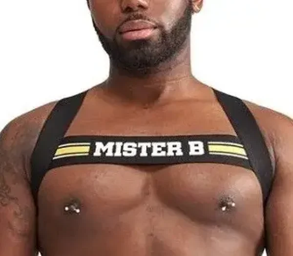 Harnais elastique MrB