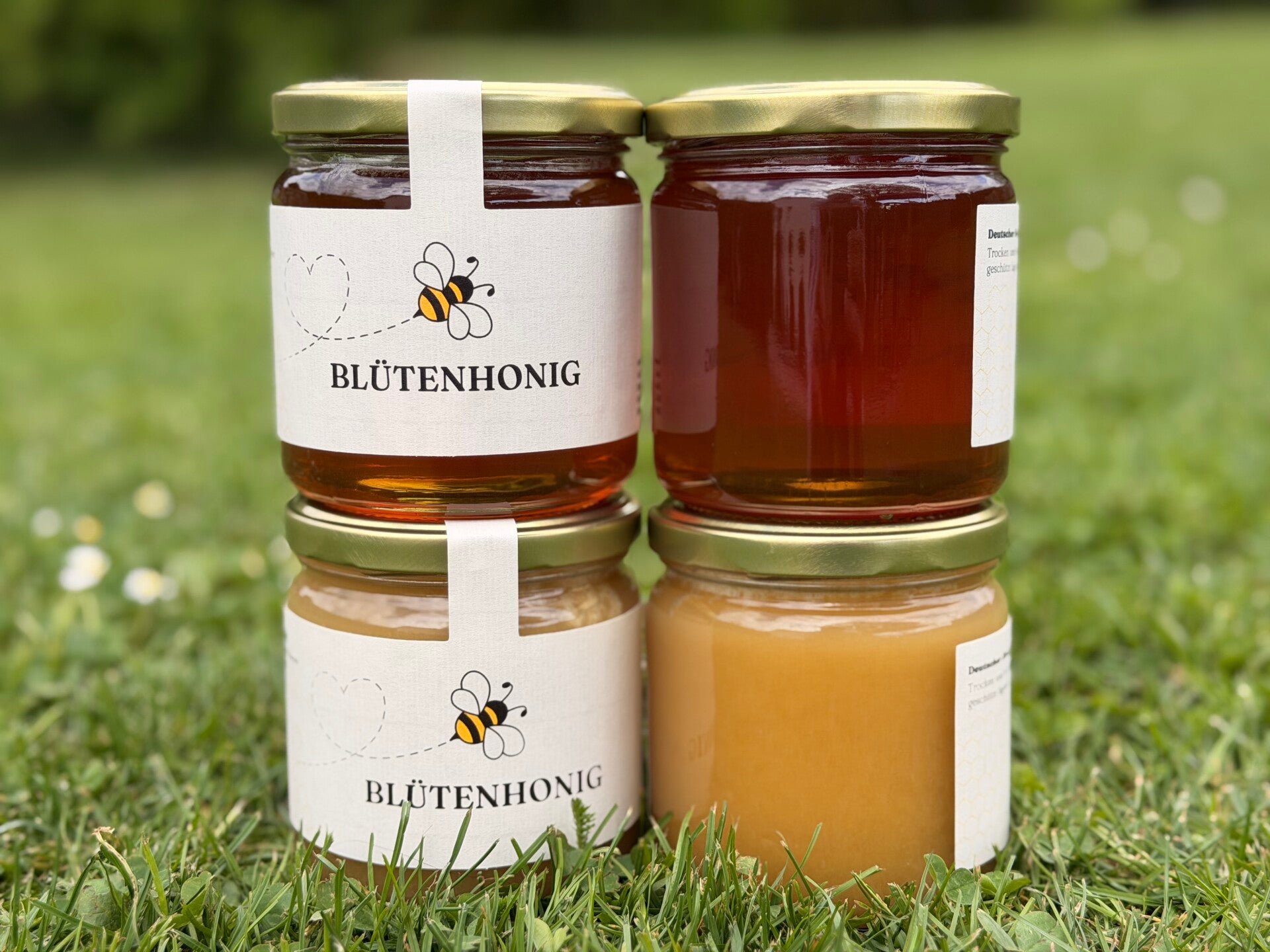 Sommerblüten Honig 15€/Kg