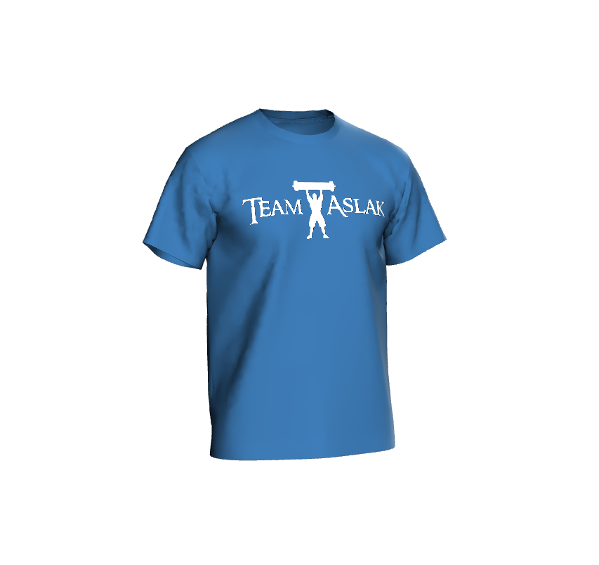 Basic Team Aslak Logo Tee