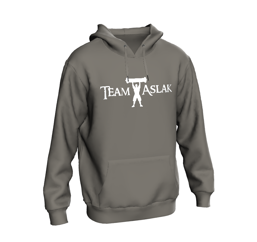Team Aslak - Logo Hoodie