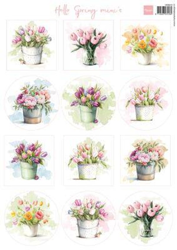 Hello Spring Mini´s