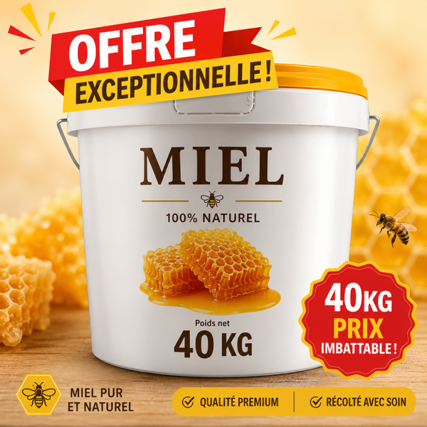 🍯 Offre spéciale sur place – Seau de 40 kg | Miel crémeux colza