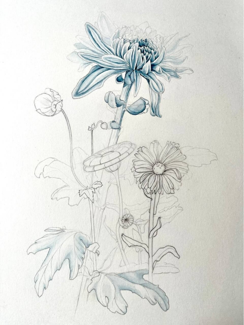 Studie Zeichnung realistische Blüten
