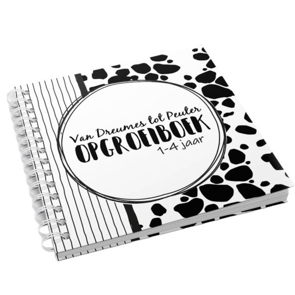 Invulboek - Van Dreumes tot Peuter Opgroeiboek