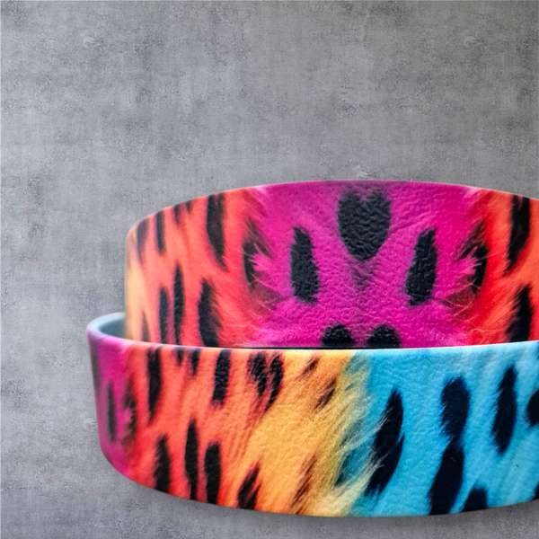 UV-Druck Biothane Halsband "Rainbow Leo" 25mm