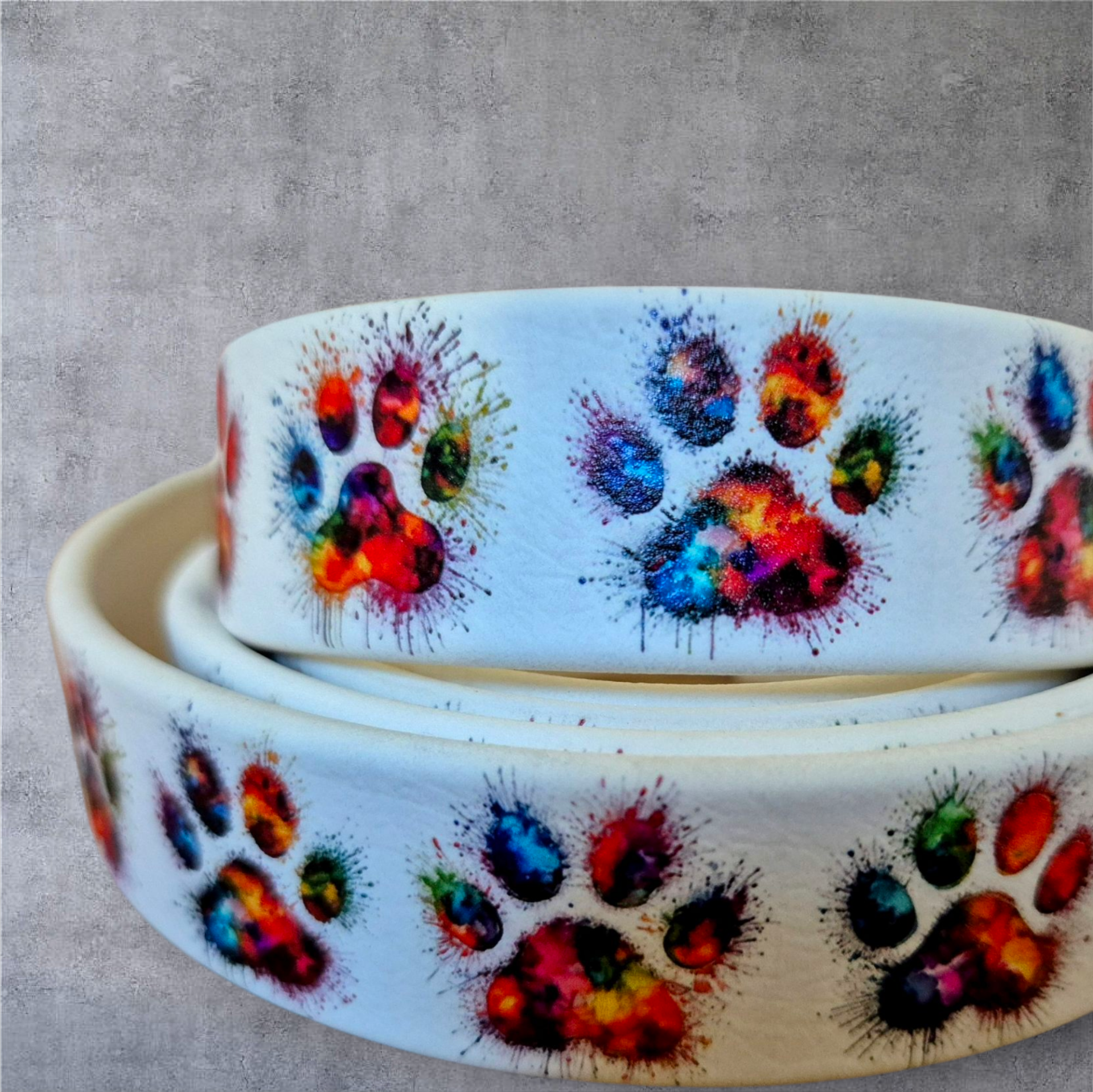 UV-Druck Biothane Halsband "bunte Pfoten" 25mm