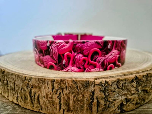 US Biothane Halsband "Flamingo" 25mm - Sofortkauf