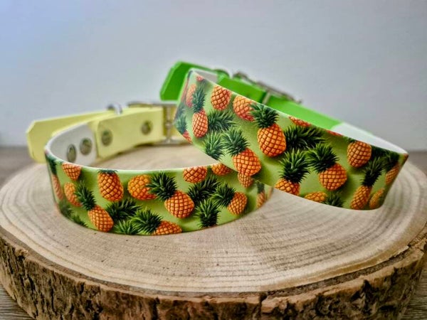 US Biothane Halsband "Ananas" 25mm - Sofortkauf