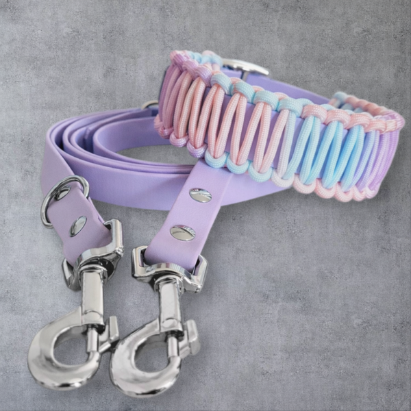 Paracord Edition Set – Halsband & Leine