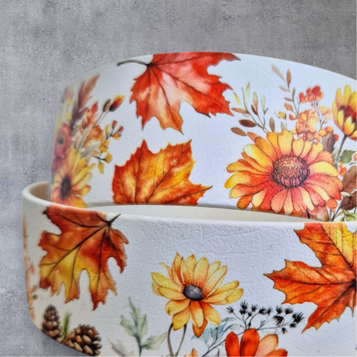 UV-Druck Biothane Halsband "Herbst" 25mm