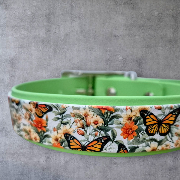 Monarchs - UV-Druck Halsband 25mm