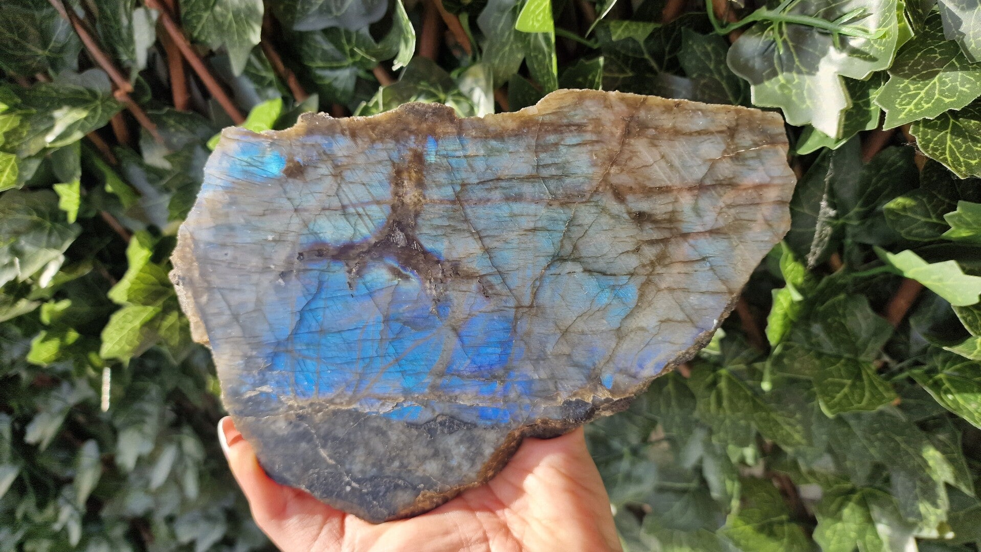 Labradoriet slab