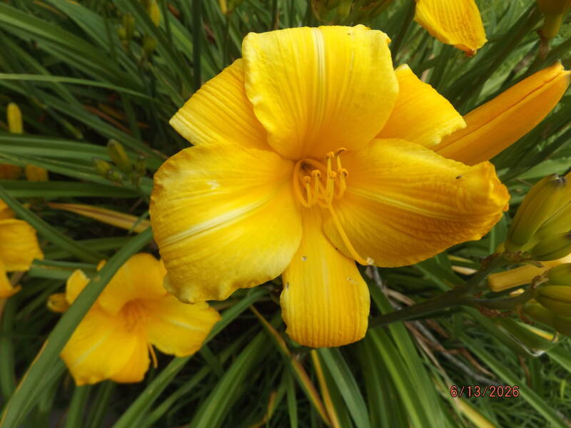 dscf7029-standard.jpg