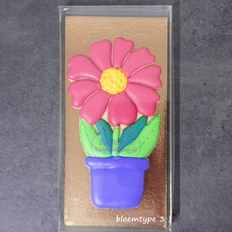 bloemtype-3-standard.jpg