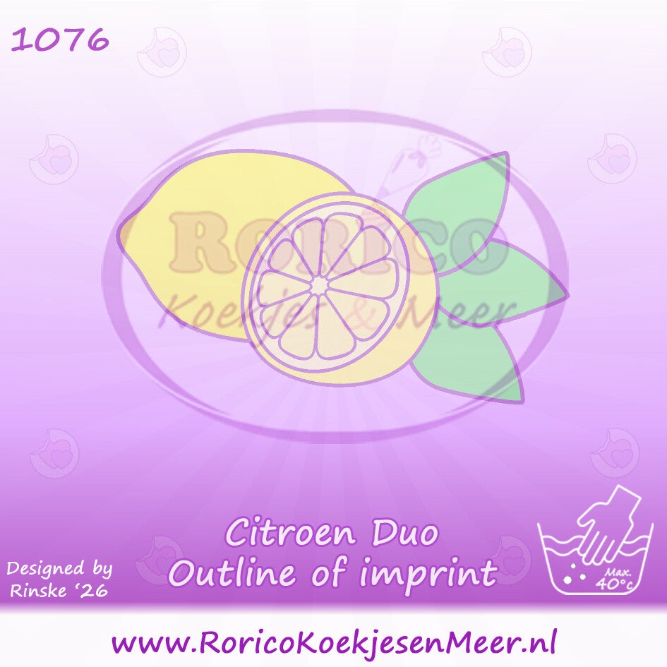 1076 - Citroen Duo