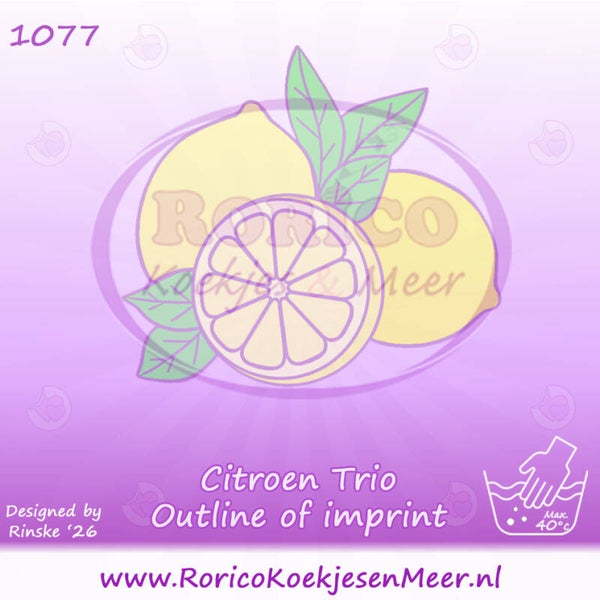 1077 - Citroen Trio
