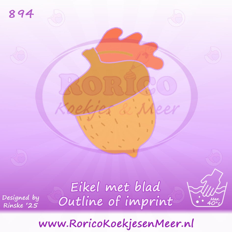 894 - Eikel met blad