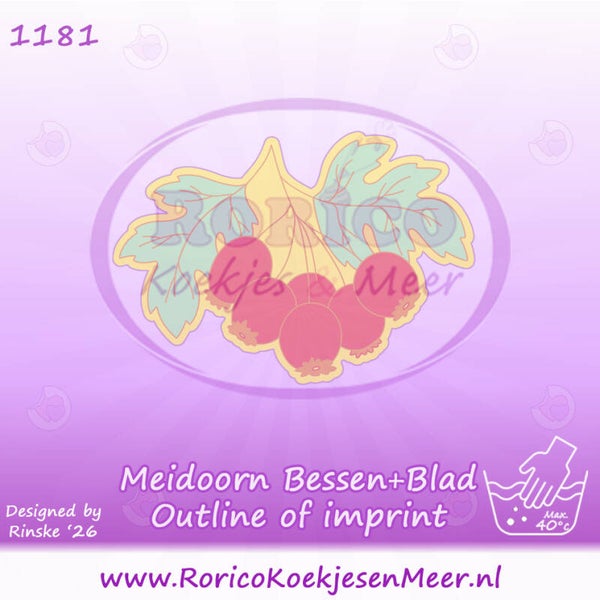 1181 - Meidoorn Bessen met Blad
