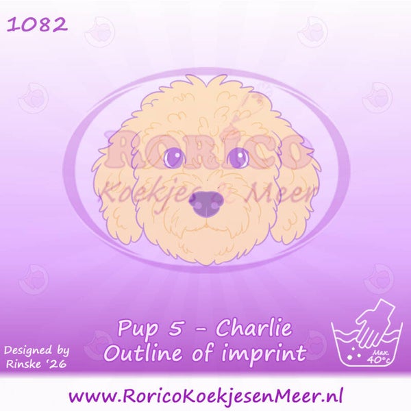 1082 - Pup 5 - Charlie