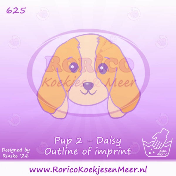 625 - Pup 2 - Daisy