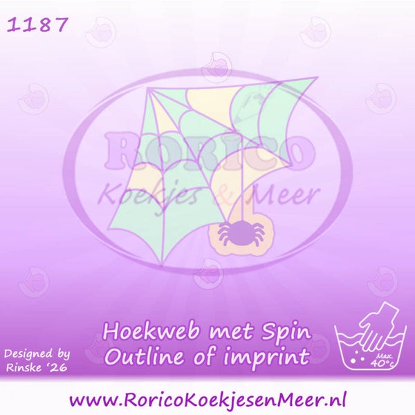 1187 - Hoek web met spin