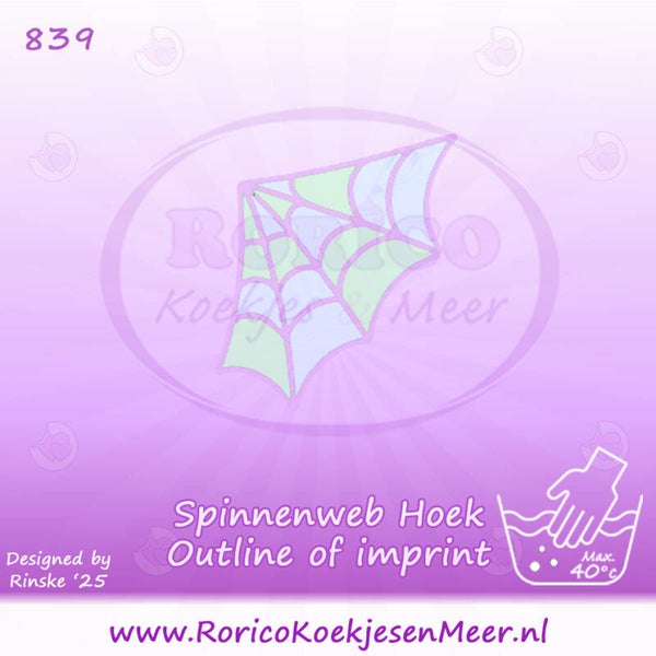 839 - Spinnenweb hoek