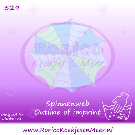 529 - Spinnenweb