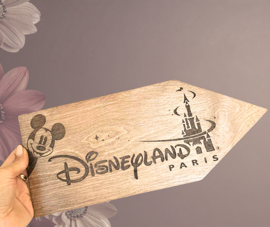 Panneau Direction Disneyland Paris
