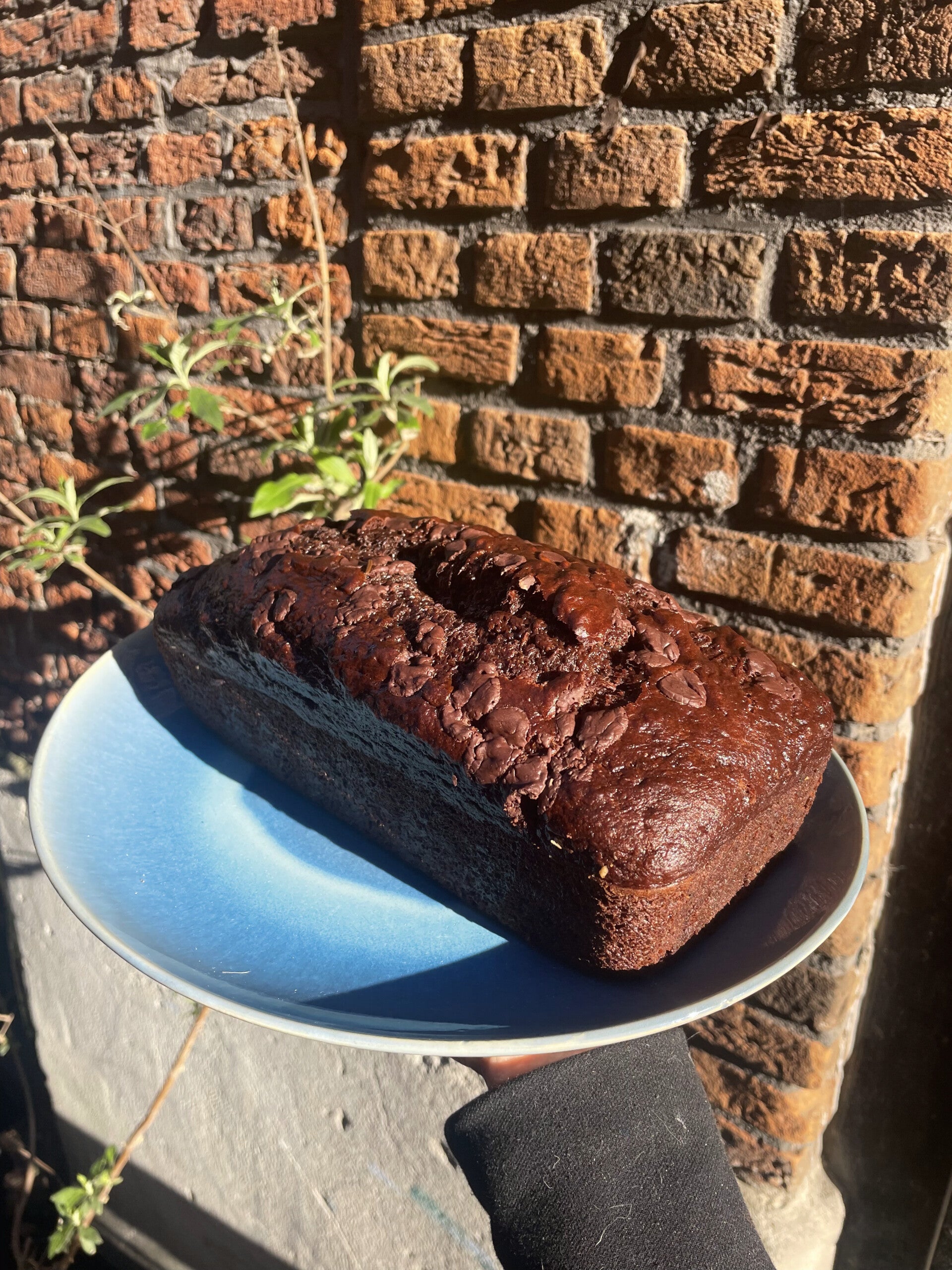 Chocolade cake (Zonder olie/vet)