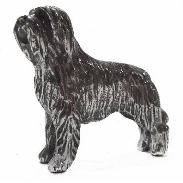 Bearderd collie