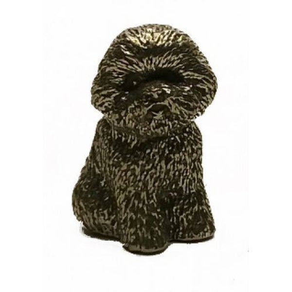 Bichon frisé