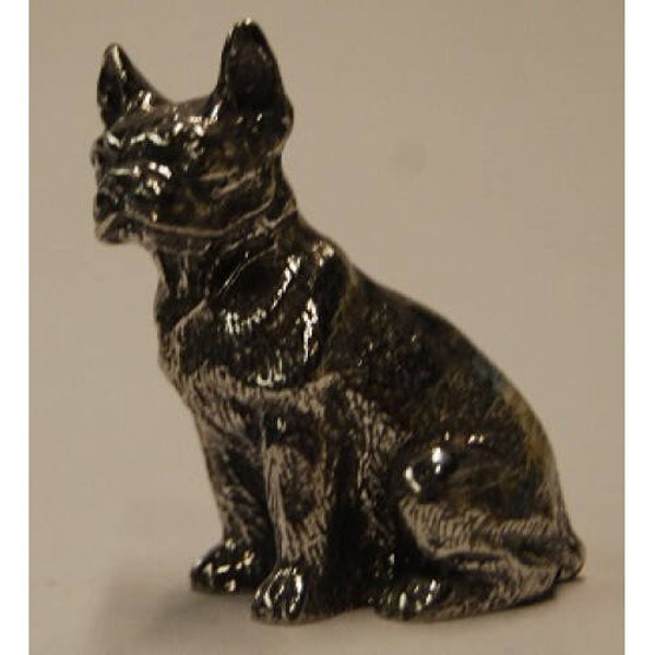 Bosten terrier
