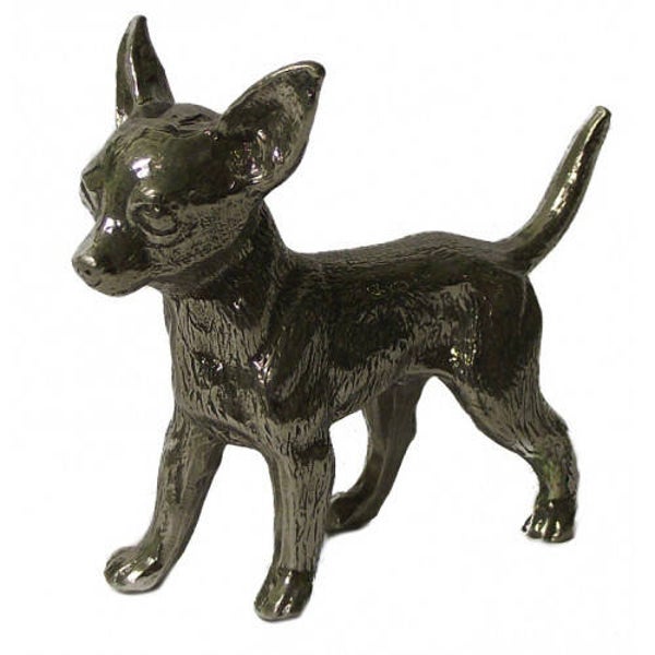 Chihuahua kort haar klein